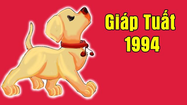 người sinh năm 1994 tuổi con gì