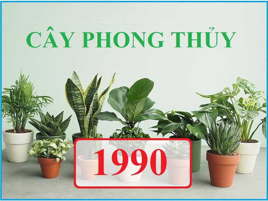 Sinh năm 1990 hợp hướng nào