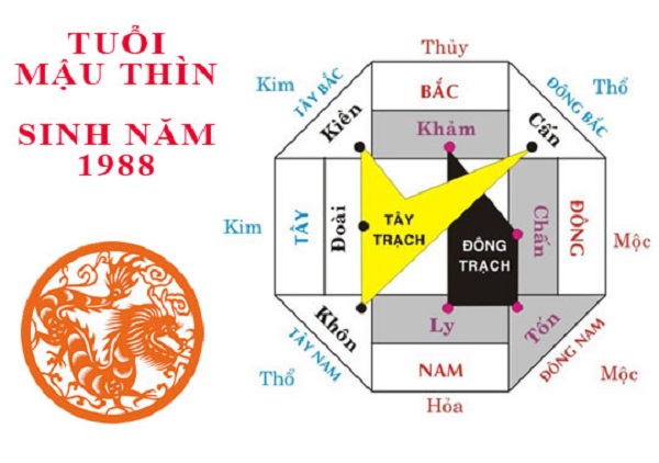 Phong thủy phòng ngủ tuổi Mậu Thìn - những điều bạn cần biết