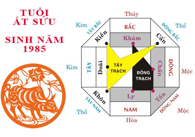 NAM - NỮ ] Tuổi Ất Sửu (1985) hợp hướng nào?