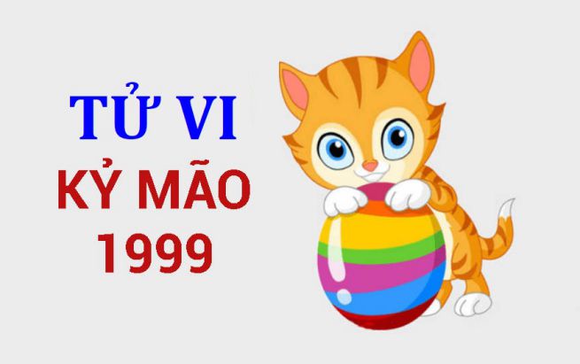 tử vi kỷ mão