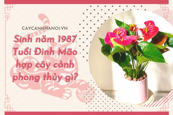 nữ 1987 hợp hướng bàn làm việc nào